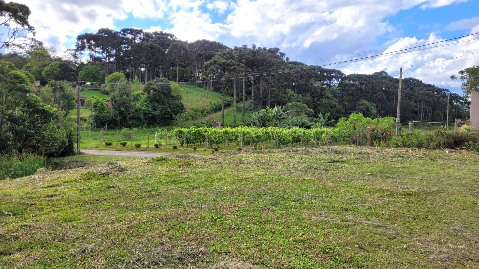 Terreno à venda, 1114m² - Foto 7