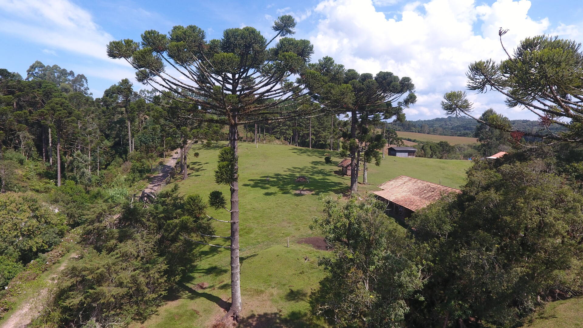 Terreno à venda, 29980m² - Foto 2