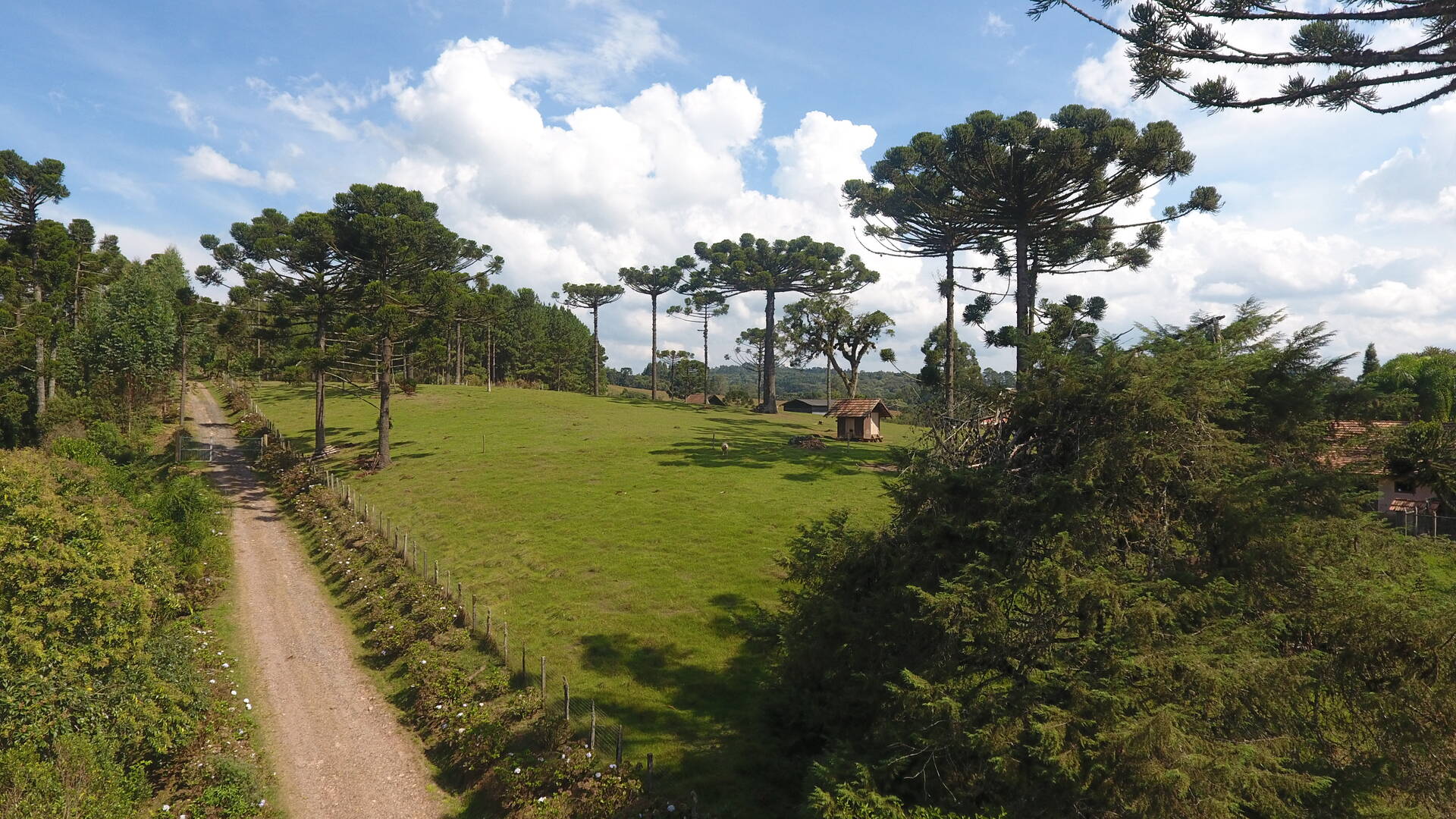 Terreno à venda, 29980m² - Foto 1