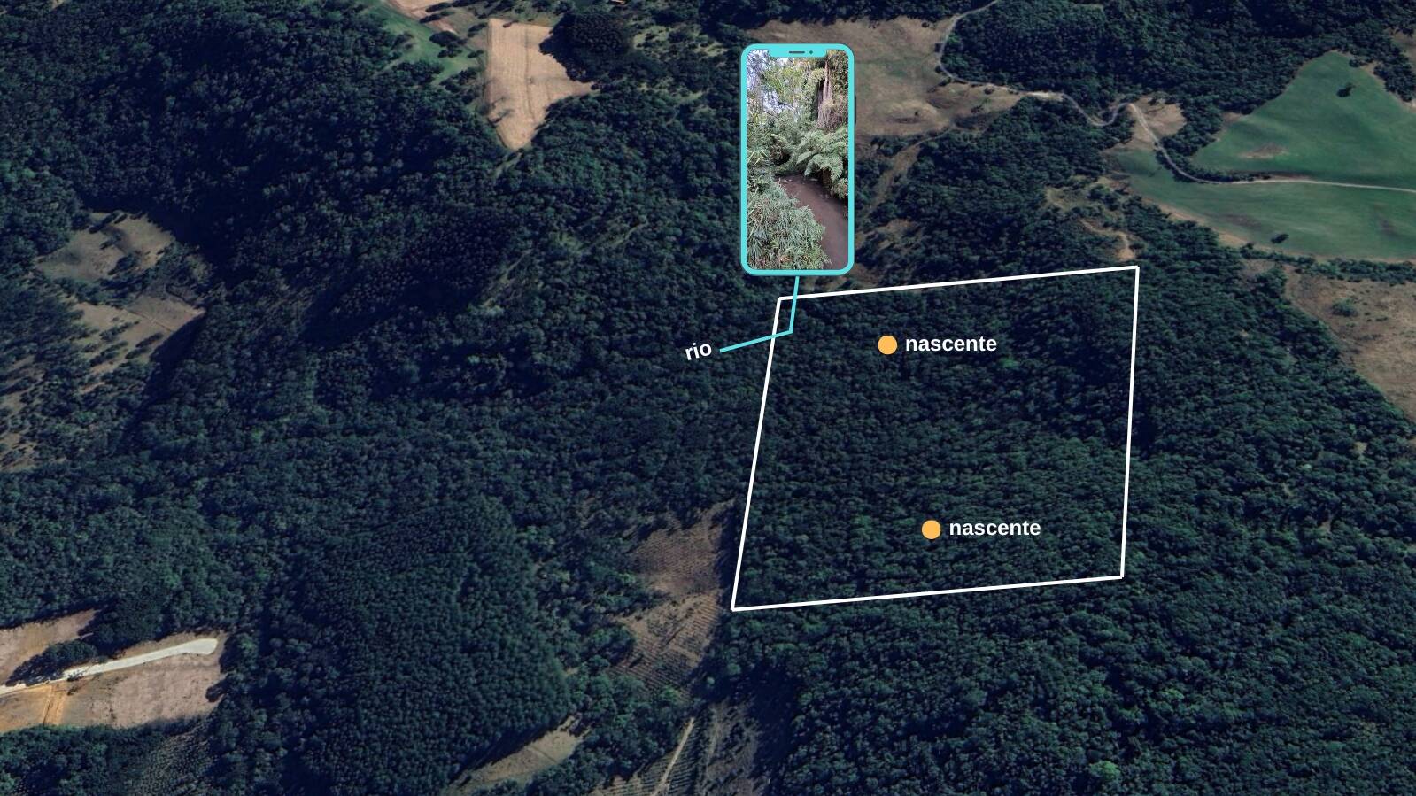 Terreno, 15 hectares - Foto 16