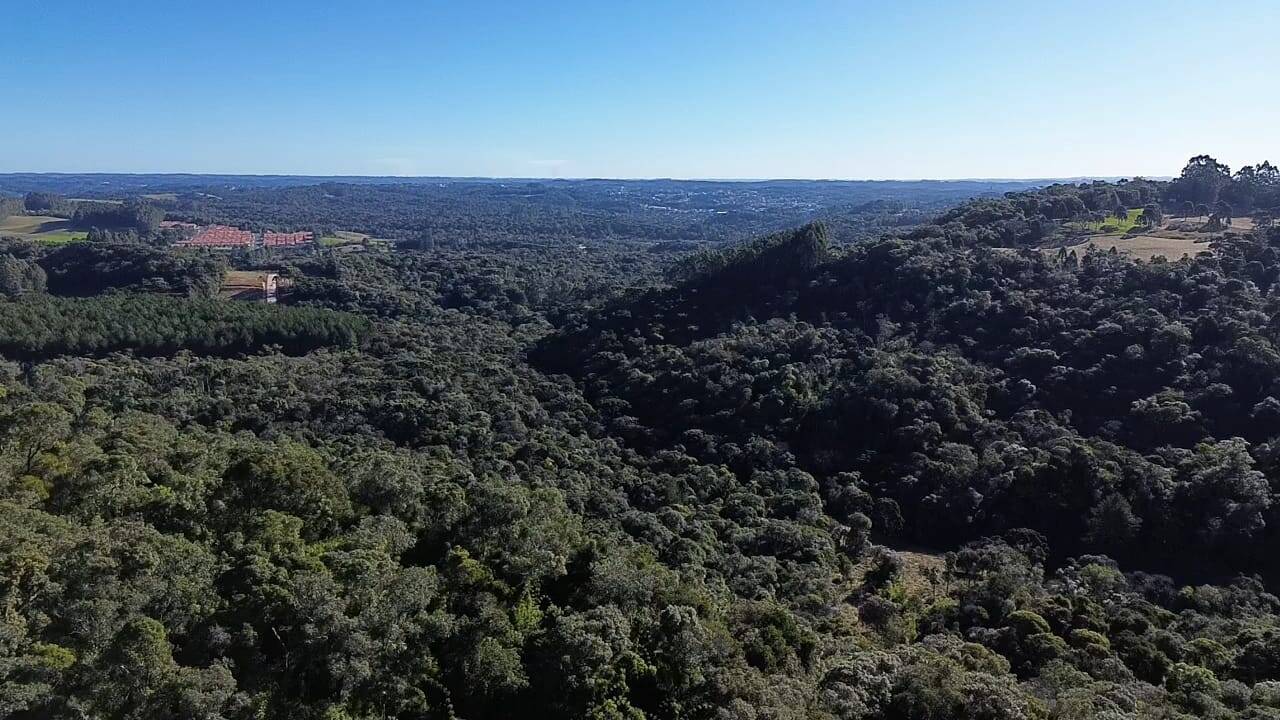 Terreno, 15 hectares - Foto 7