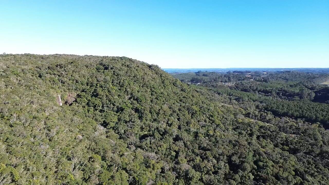 Terreno, 15 hectares - Foto 3