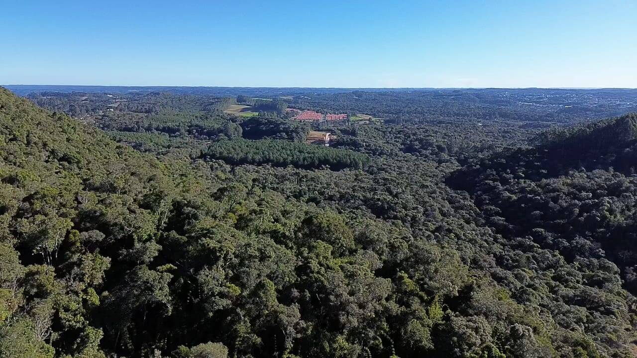 Terreno, 15 hectares - Foto 5