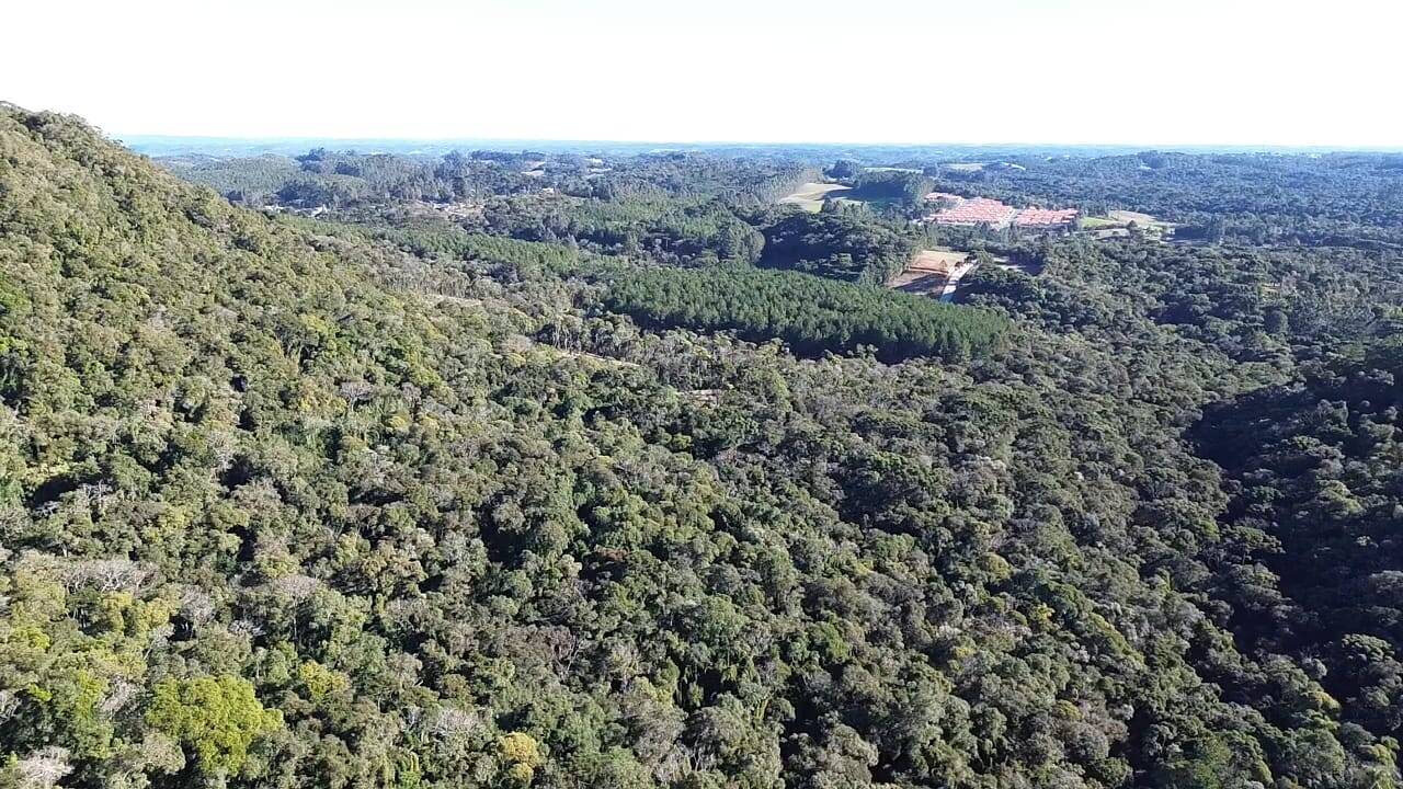 Terreno, 15 hectares - Foto 4