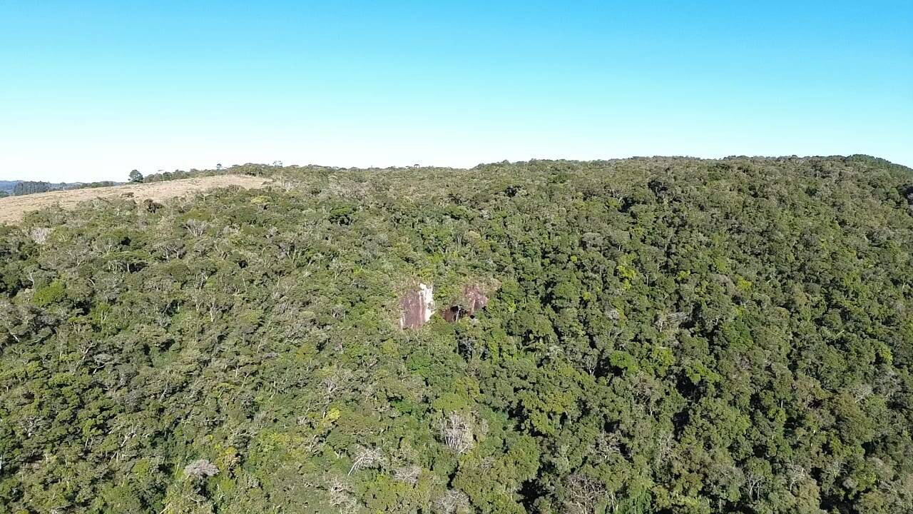 Terreno, 15 hectares - Foto 2