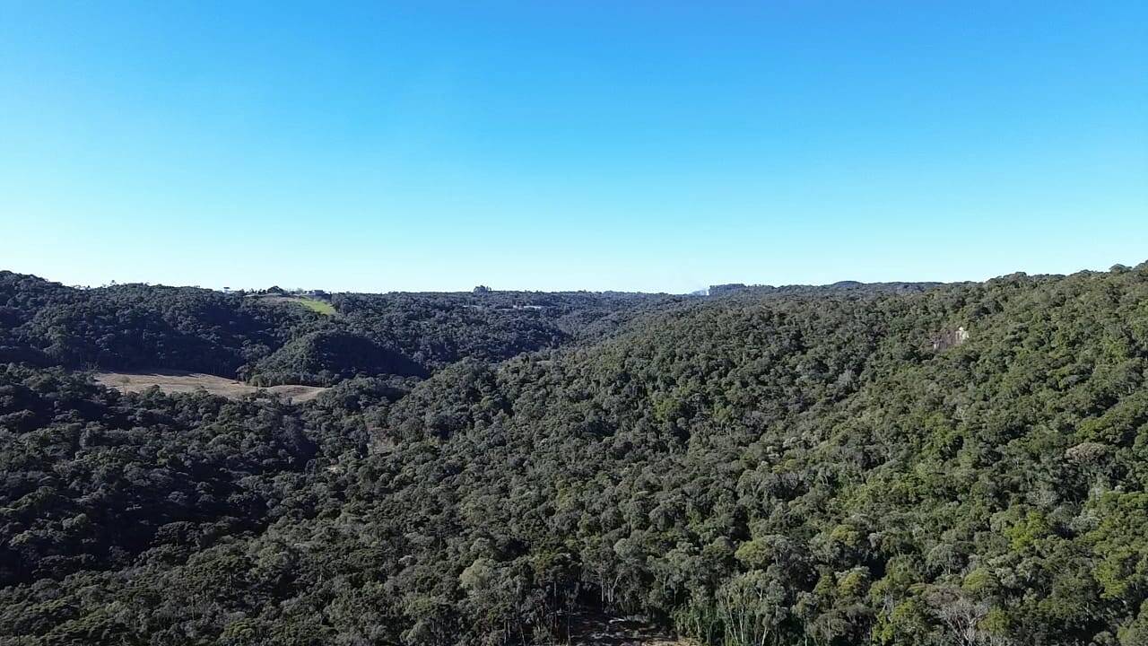 Terreno, 15 hectares - Foto 1