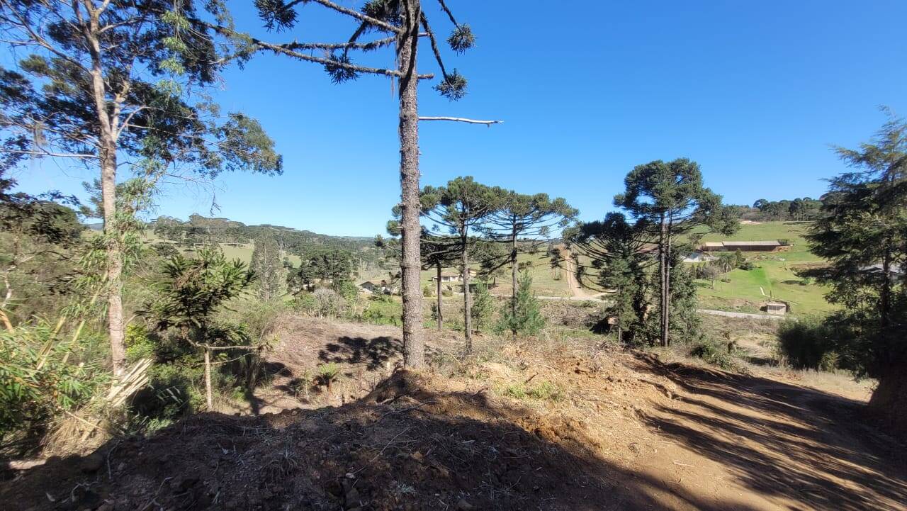 Terreno, 2 hectares - Foto 2