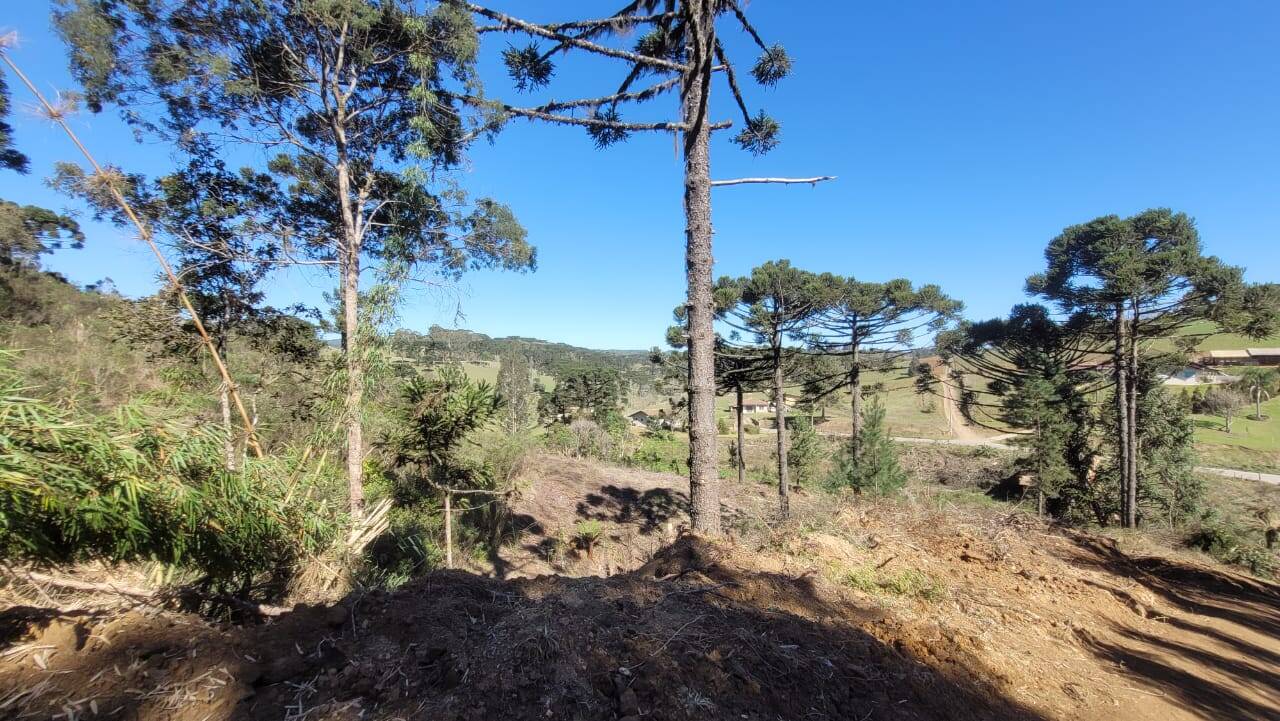 Terreno, 2 hectares - Foto 4