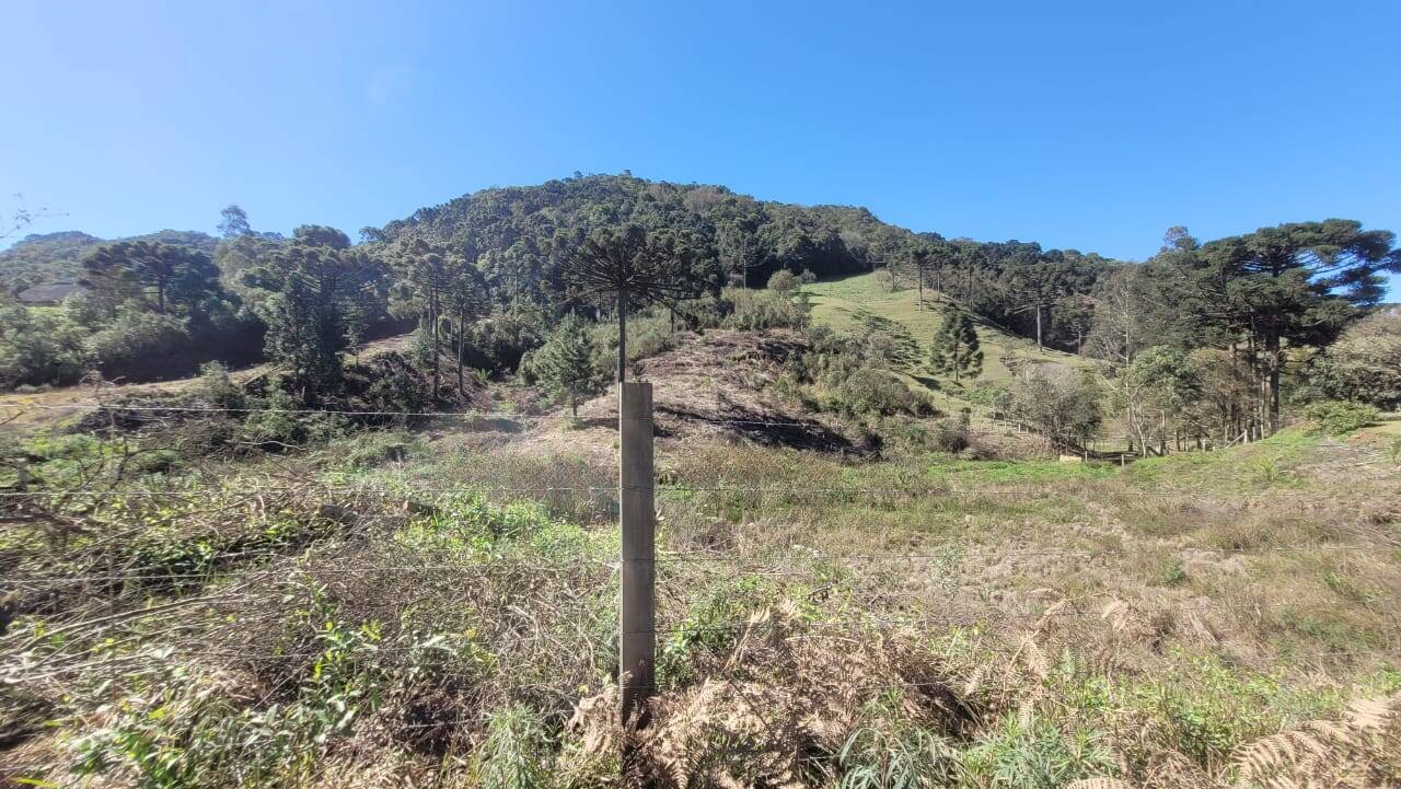 Terreno, 2 hectares - Foto 3