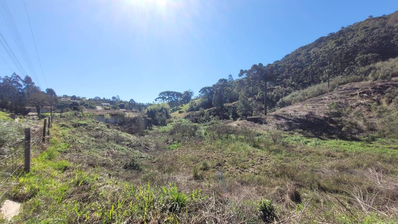 Terreno, 2 hectares - Foto 9