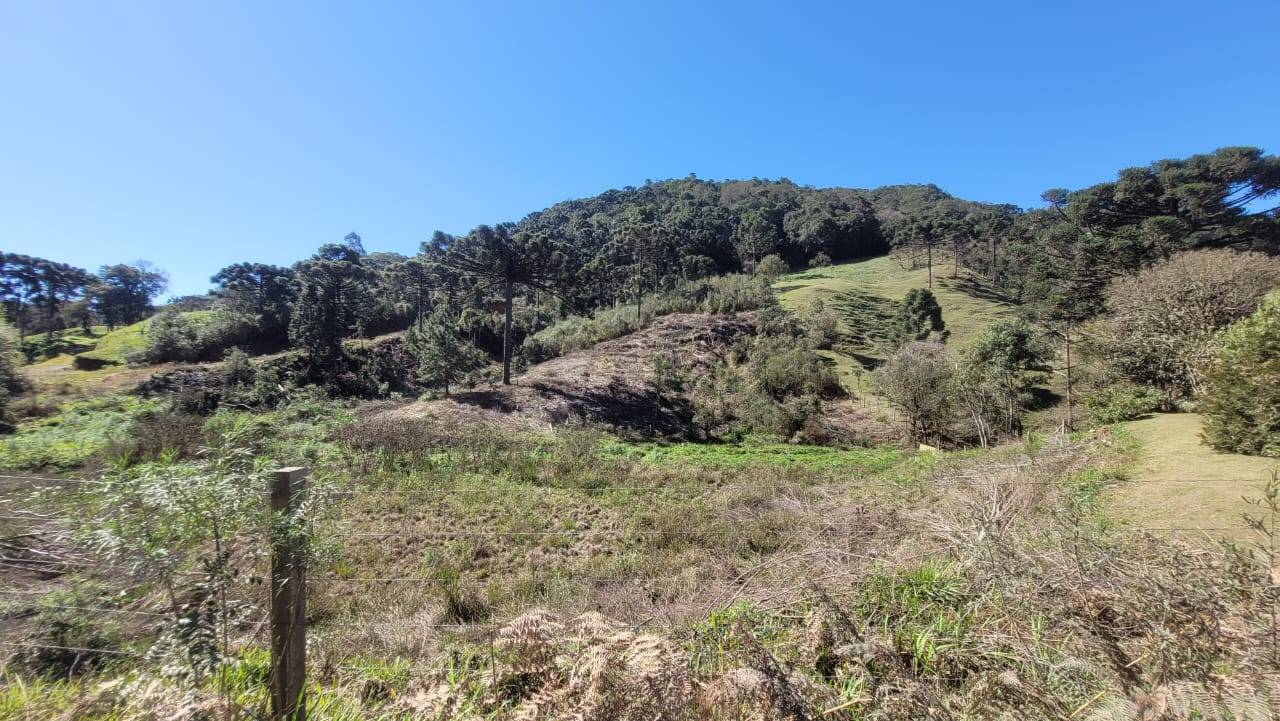 Terreno, 2 hectares - Foto 8