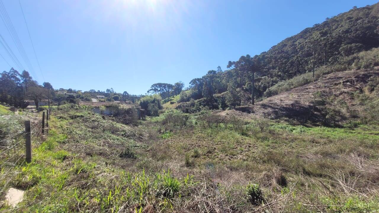 Terreno, 2 hectares - Foto 6