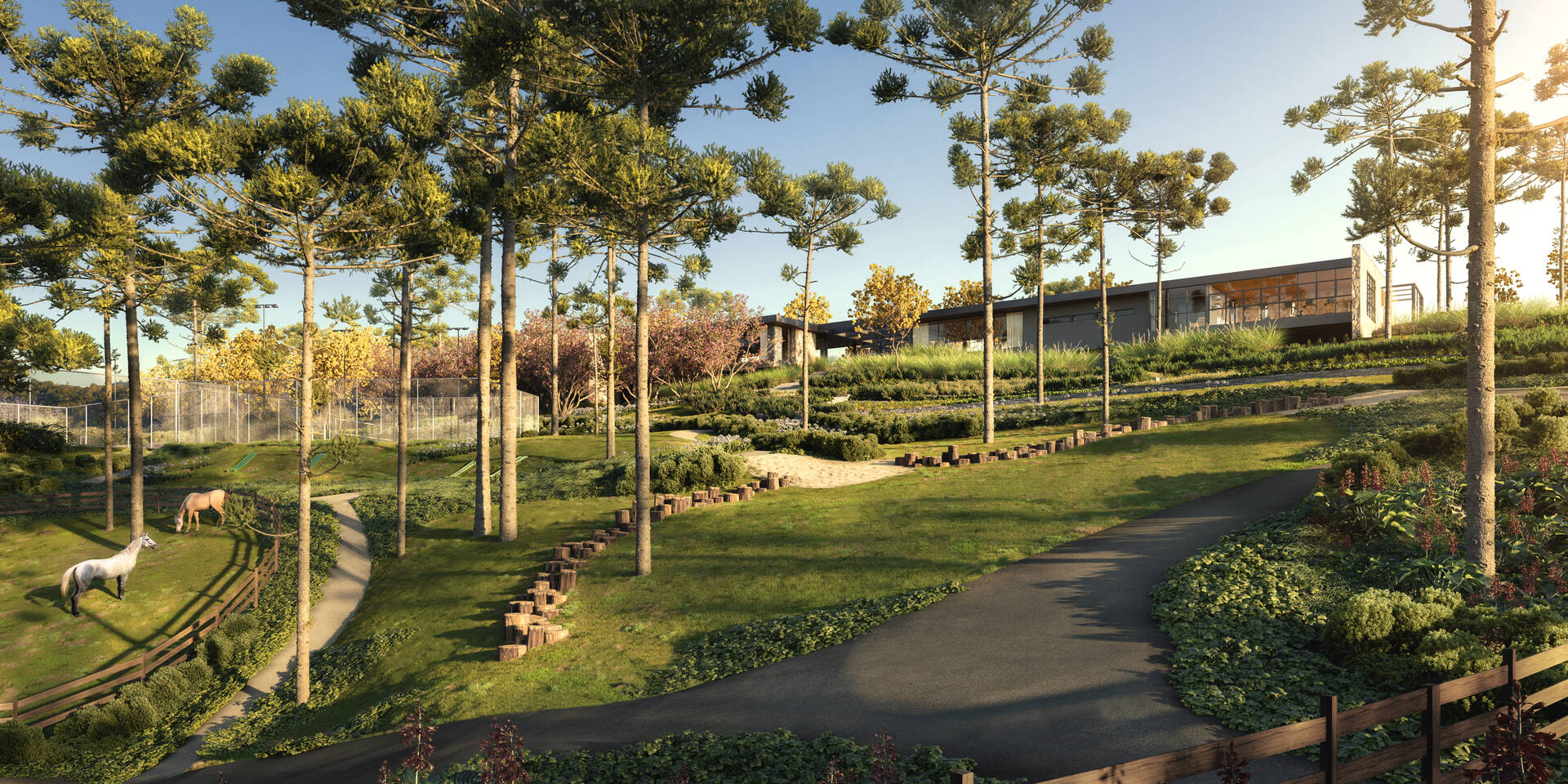 Terreno, 23 hectares - Foto 4