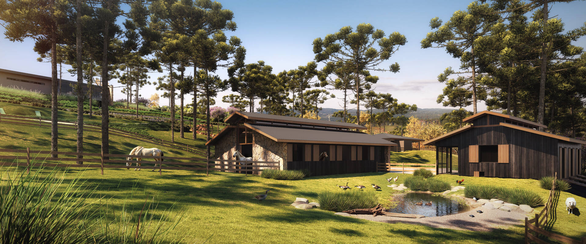 Terreno, 23 hectares - Foto 2