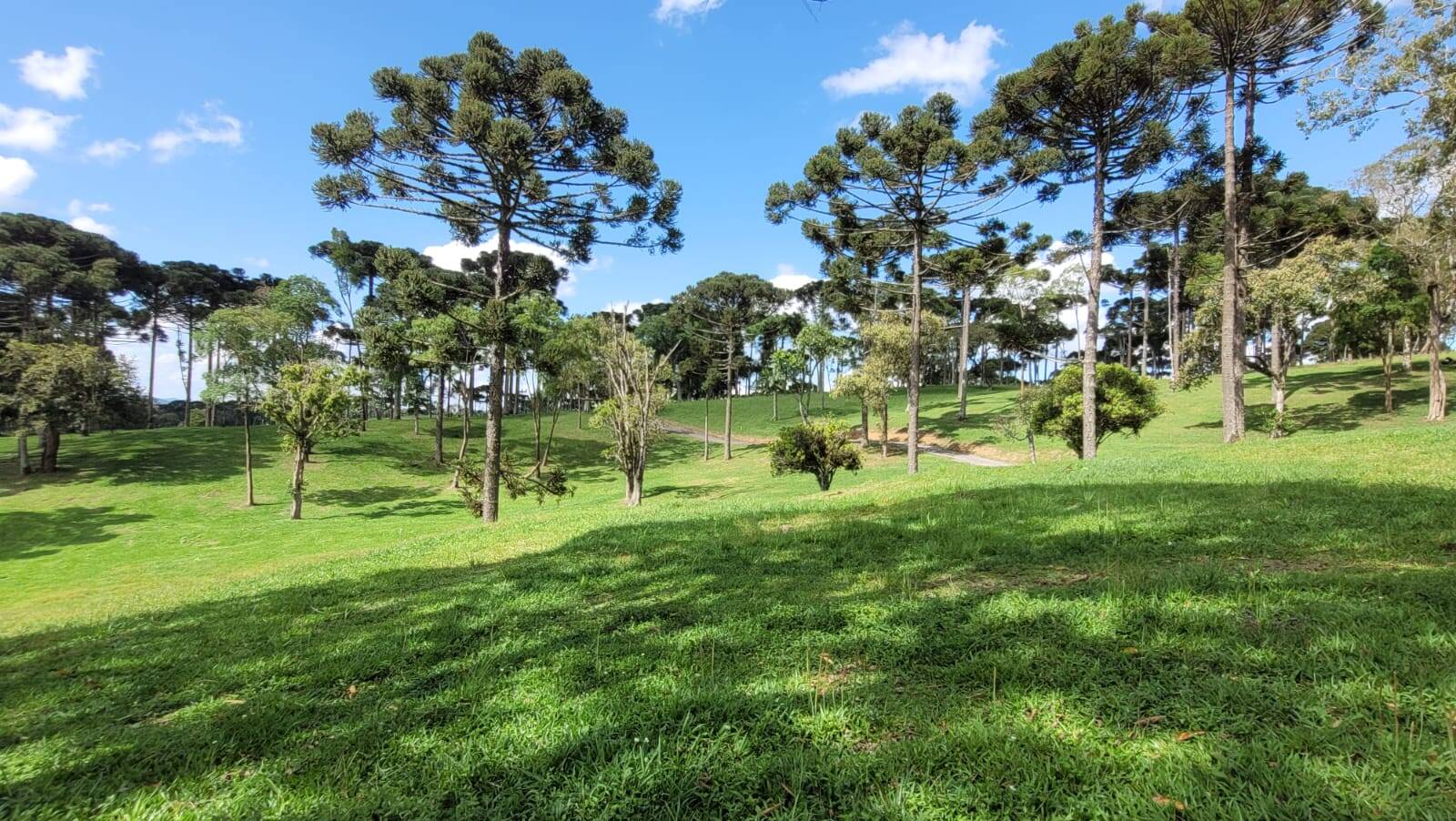 Terreno, 23 hectares - Foto 20