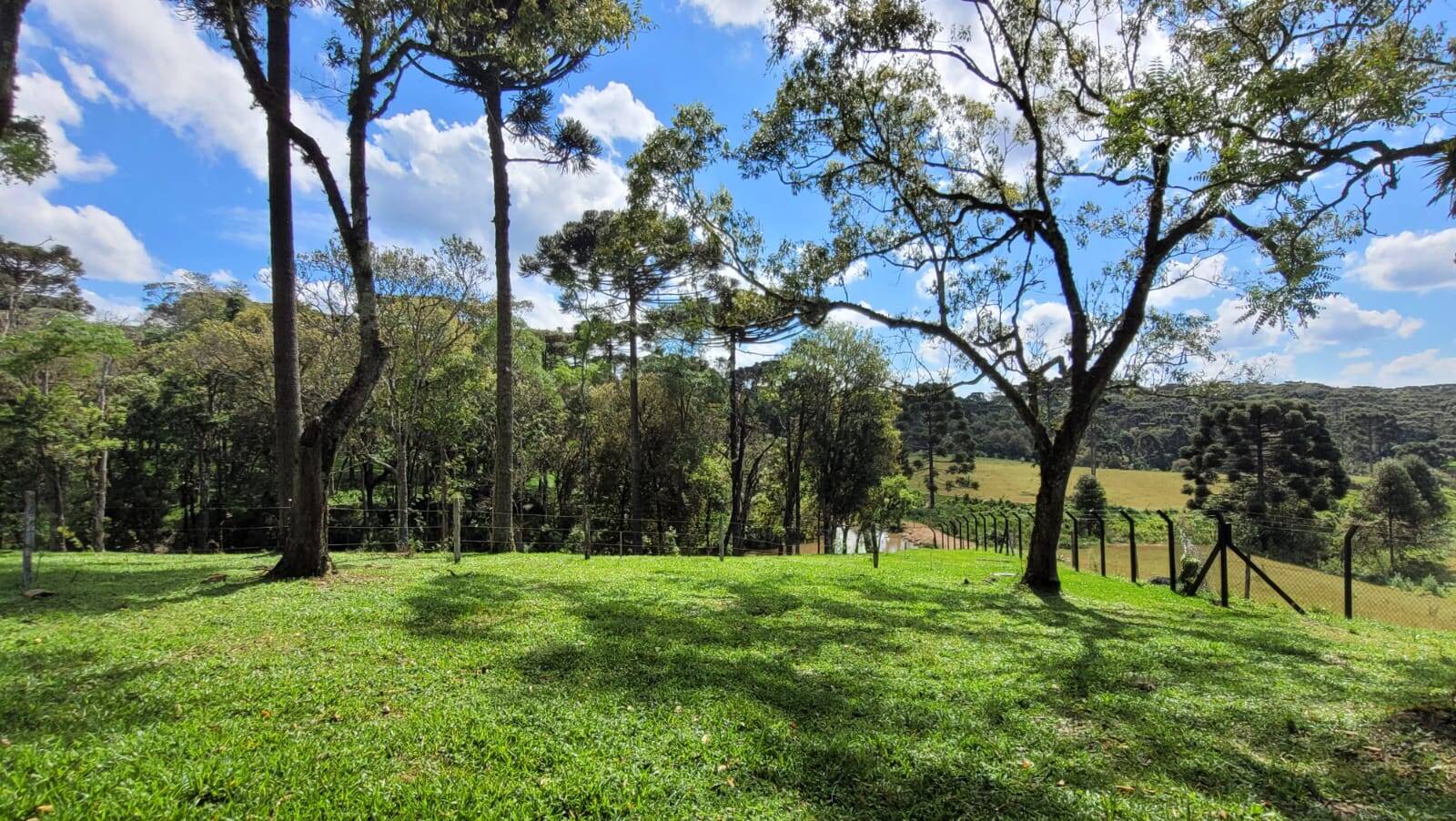 Terreno, 23 hectares - Foto 21