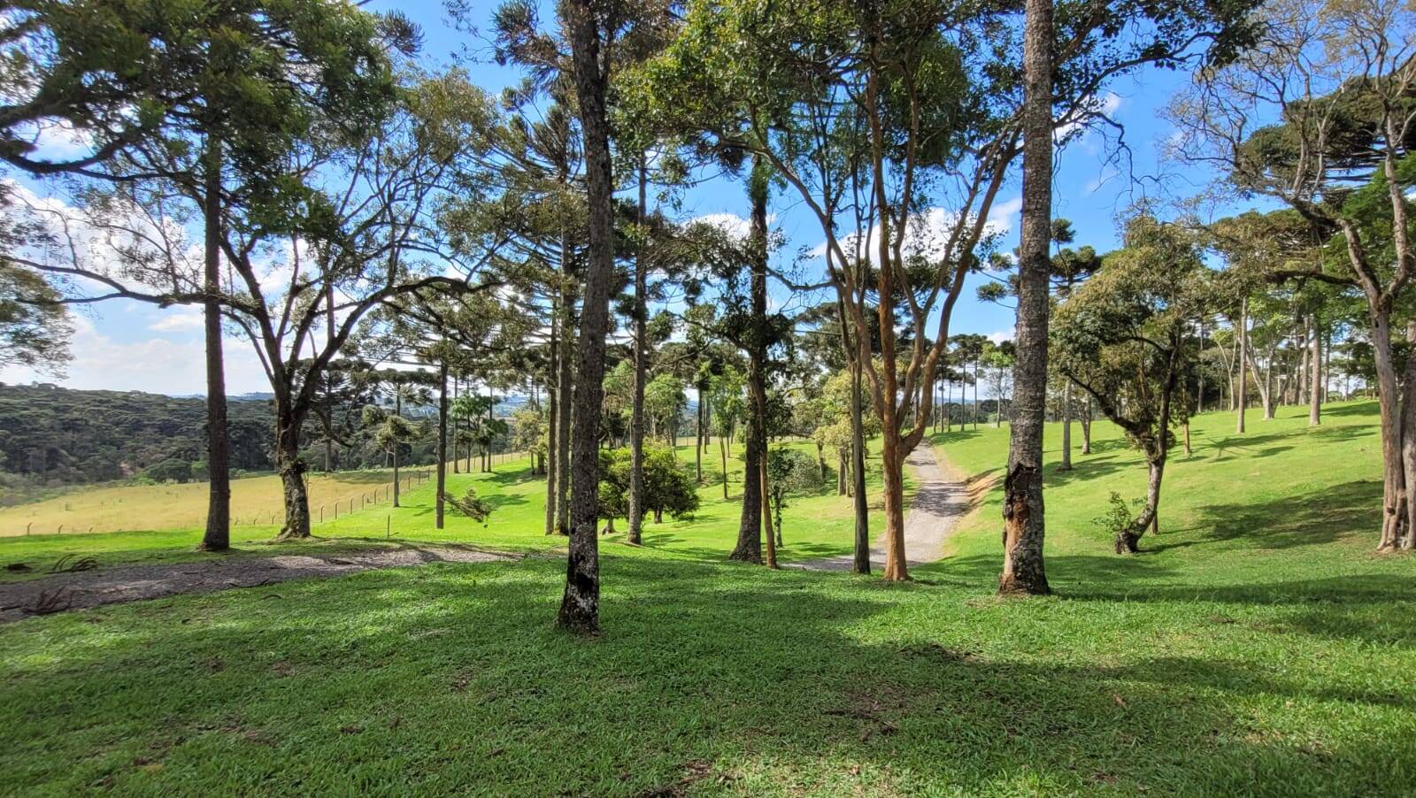 Terreno, 23 hectares - Foto 24