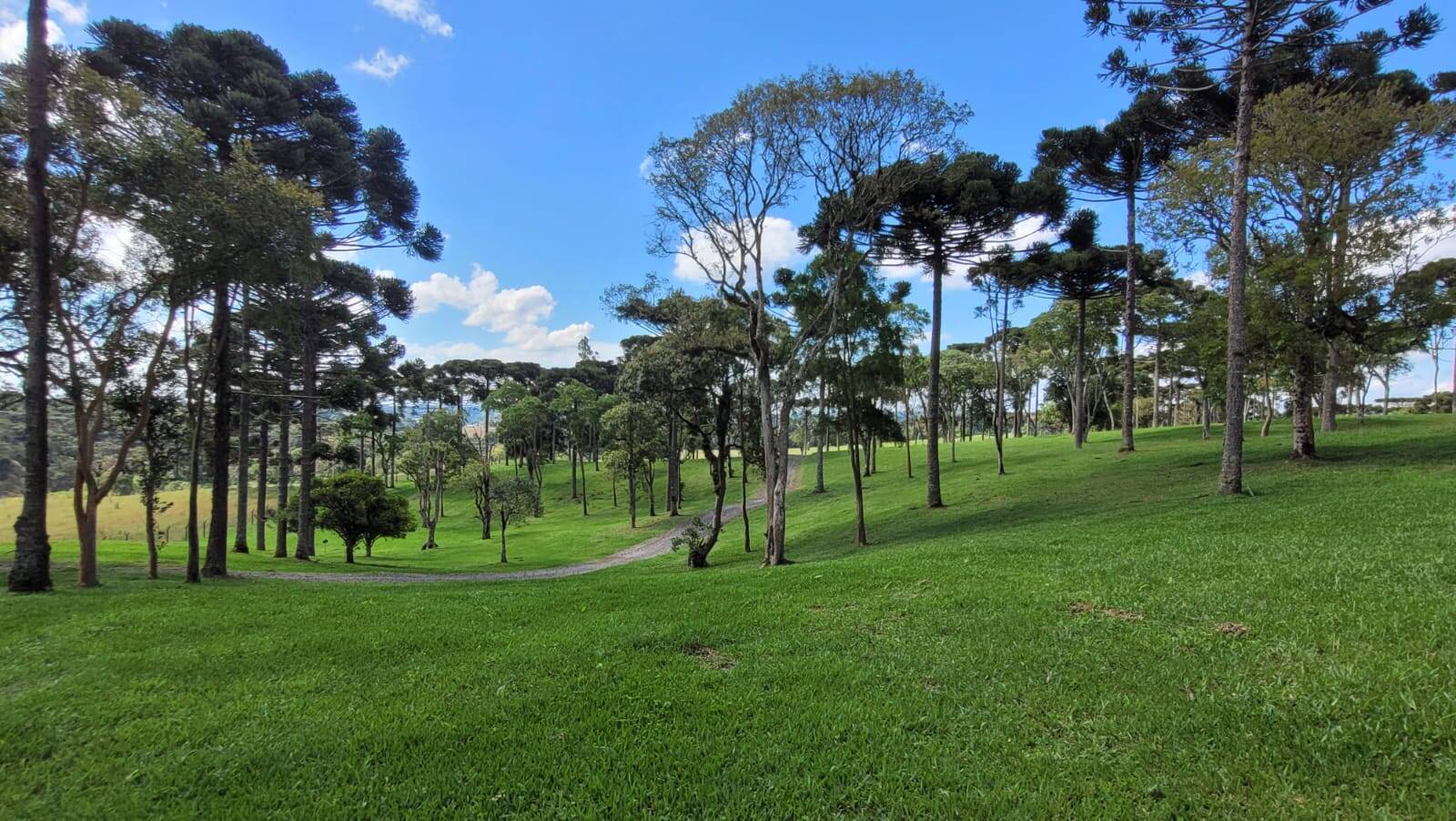 Terreno, 23 hectares - Foto 25