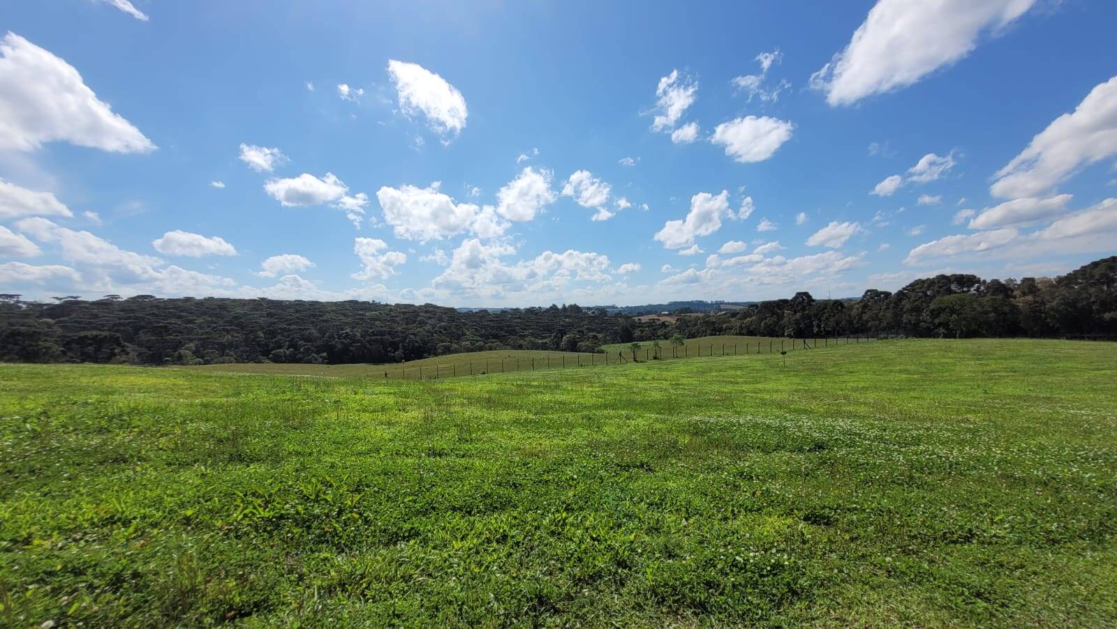 Terreno, 23 hectares - Foto 27