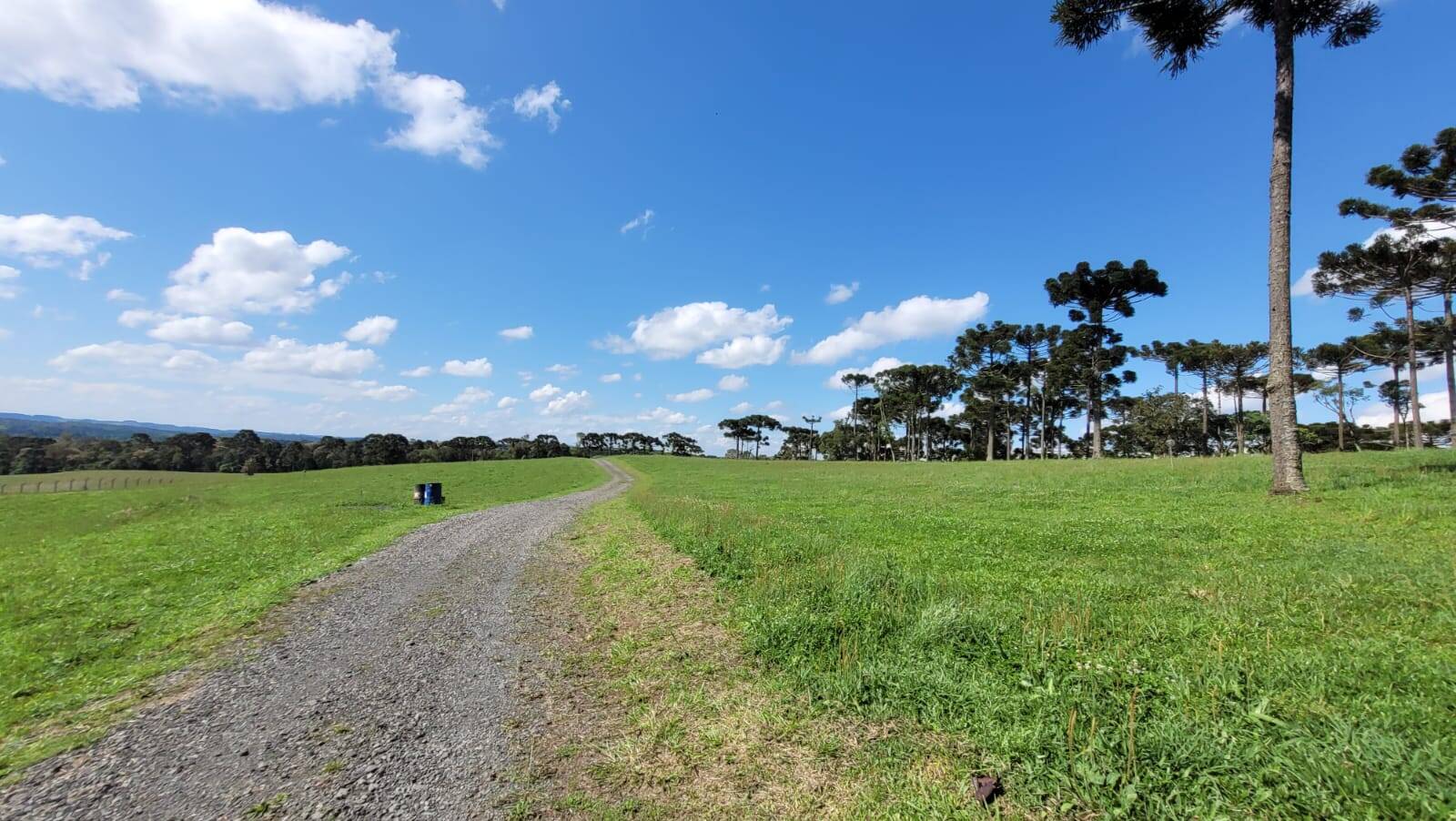 Terreno, 23 hectares - Foto 26