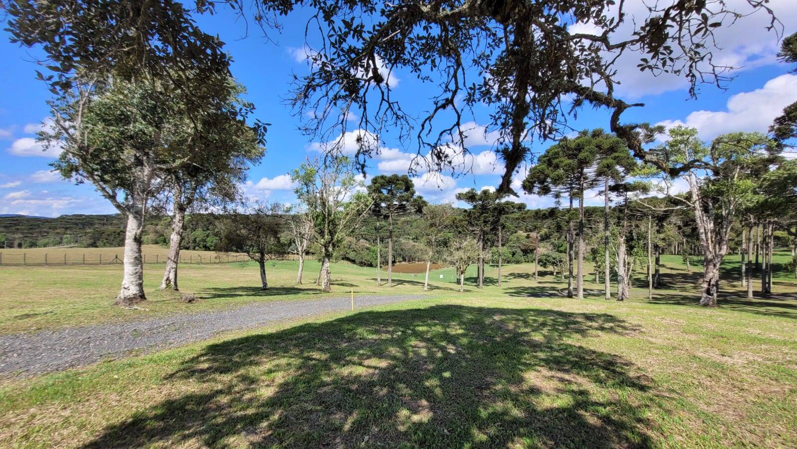 Terreno, 23 hectares - Foto 28