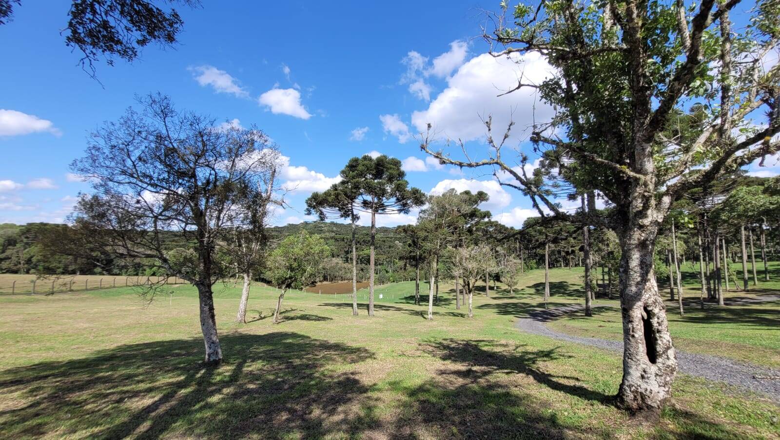 Terreno, 23 hectares - Foto 29