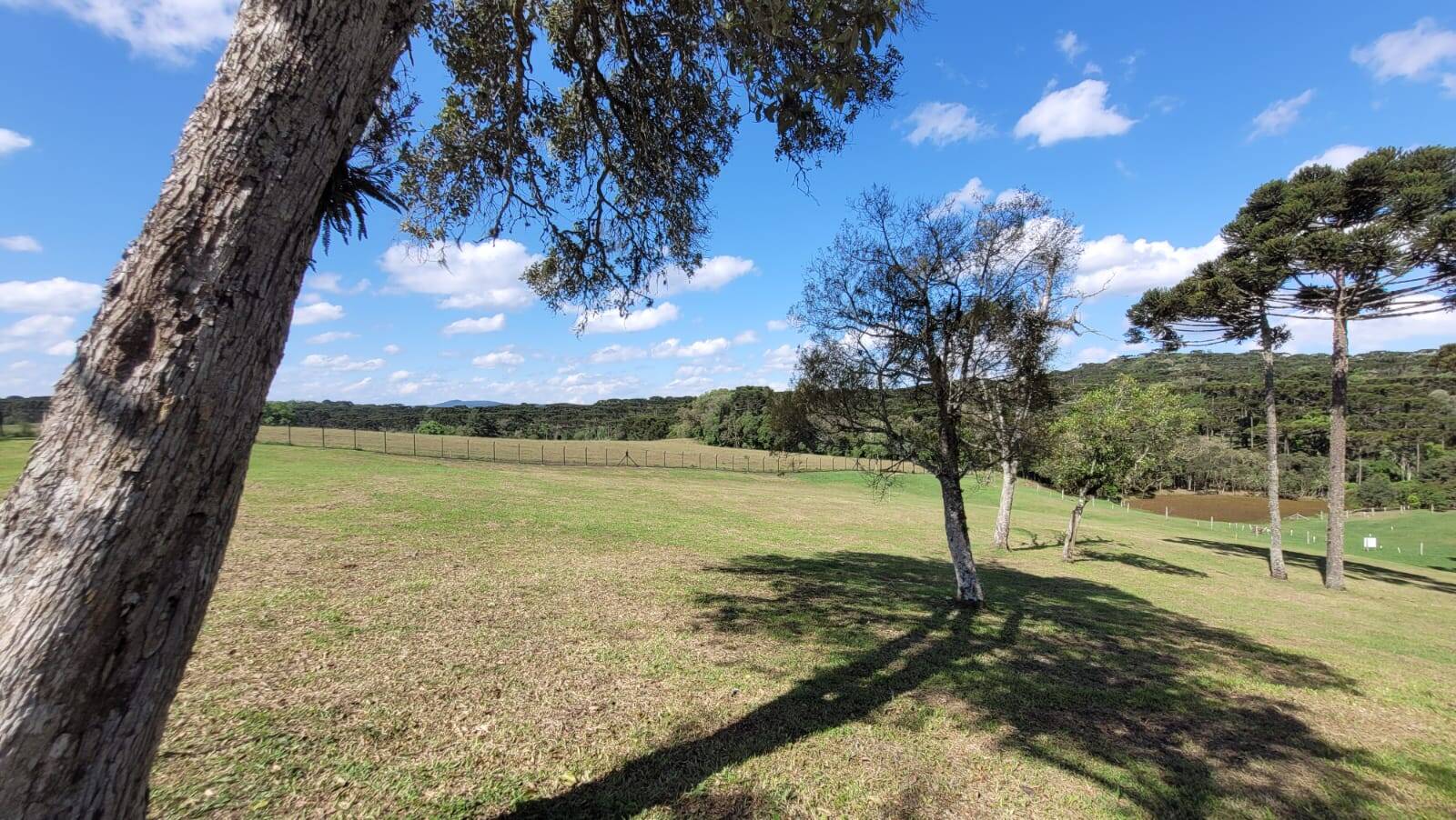 Terreno, 23 hectares - Foto 30