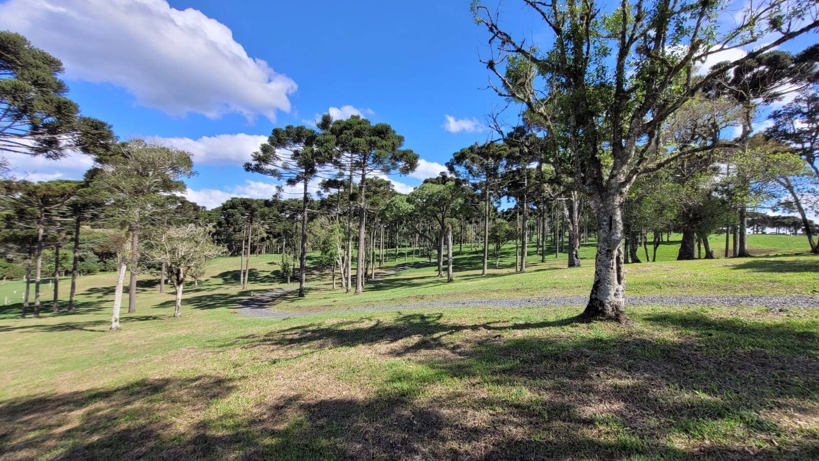 Terreno, 23 hectares - Foto 32