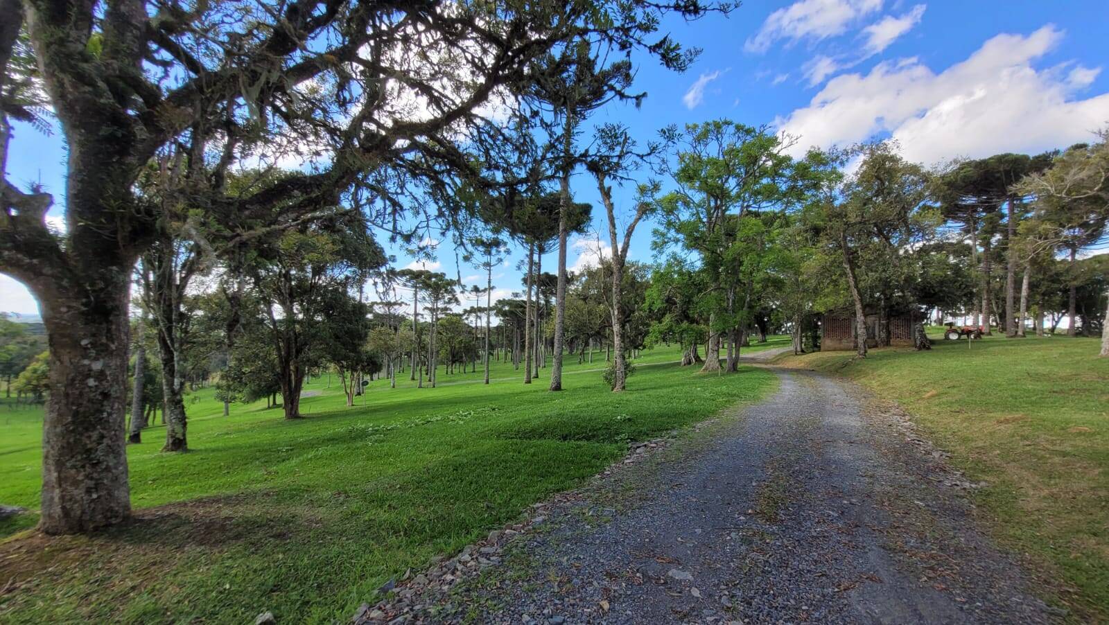 Terreno, 23 hectares - Foto 33