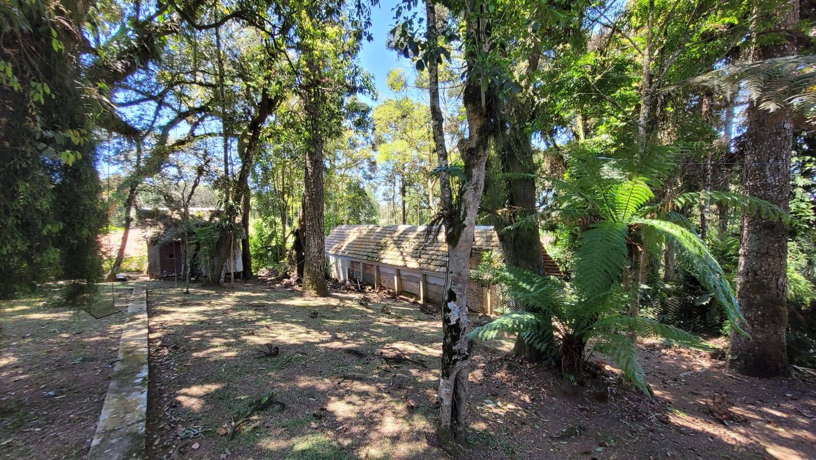 Terreno, 1014 m² - Foto 4