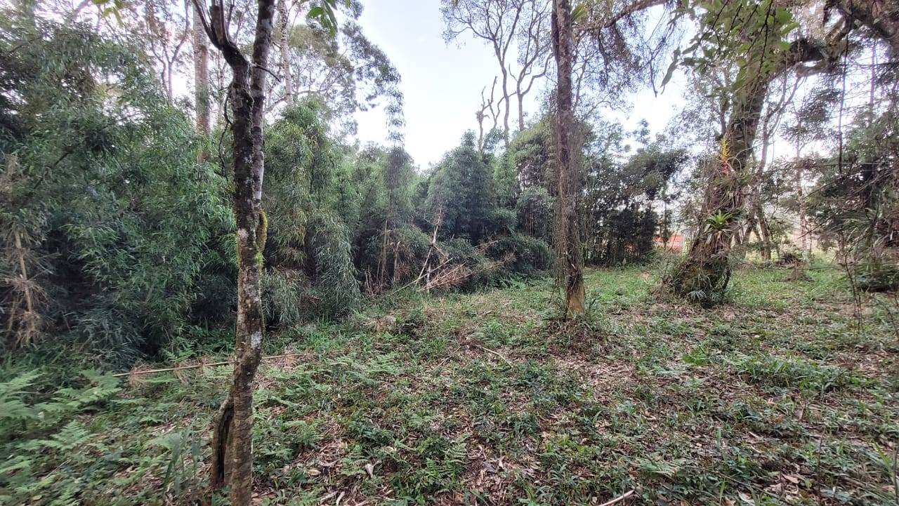 Terreno, 2000 m² - Foto 10