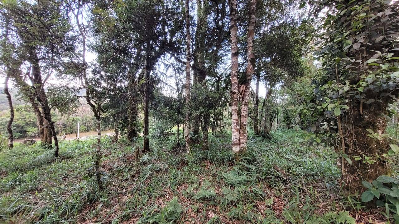 Terreno, 2000 m² - Foto 11