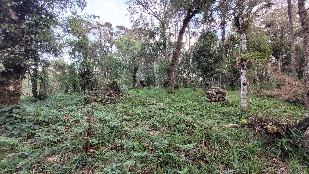 Terreno, 2000 m² - Foto 13