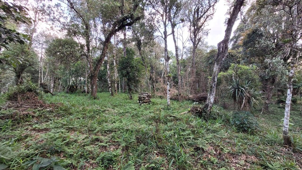 Terreno, 2000 m² - Foto 15