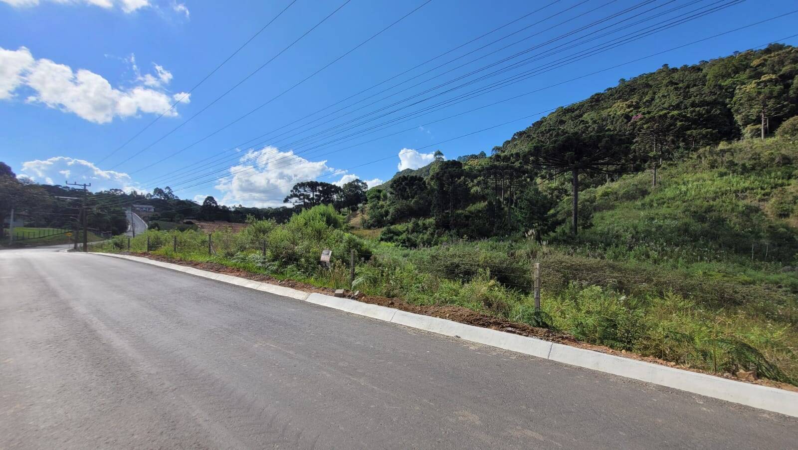 Terreno, 2 hectares - Foto 3