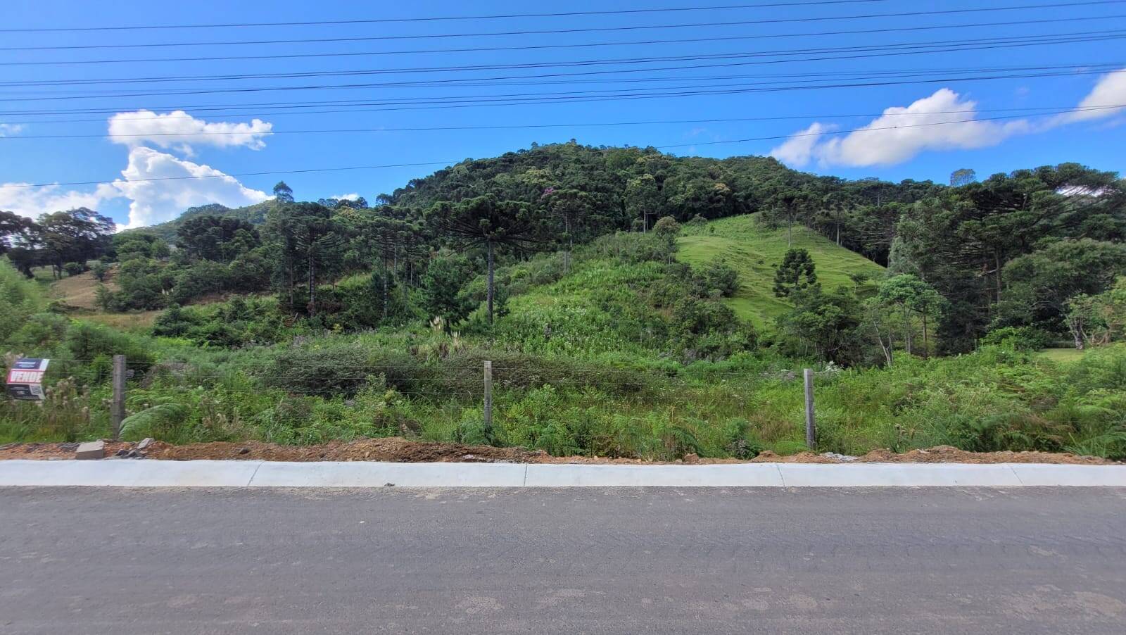 Terreno, 2 hectares - Foto 1