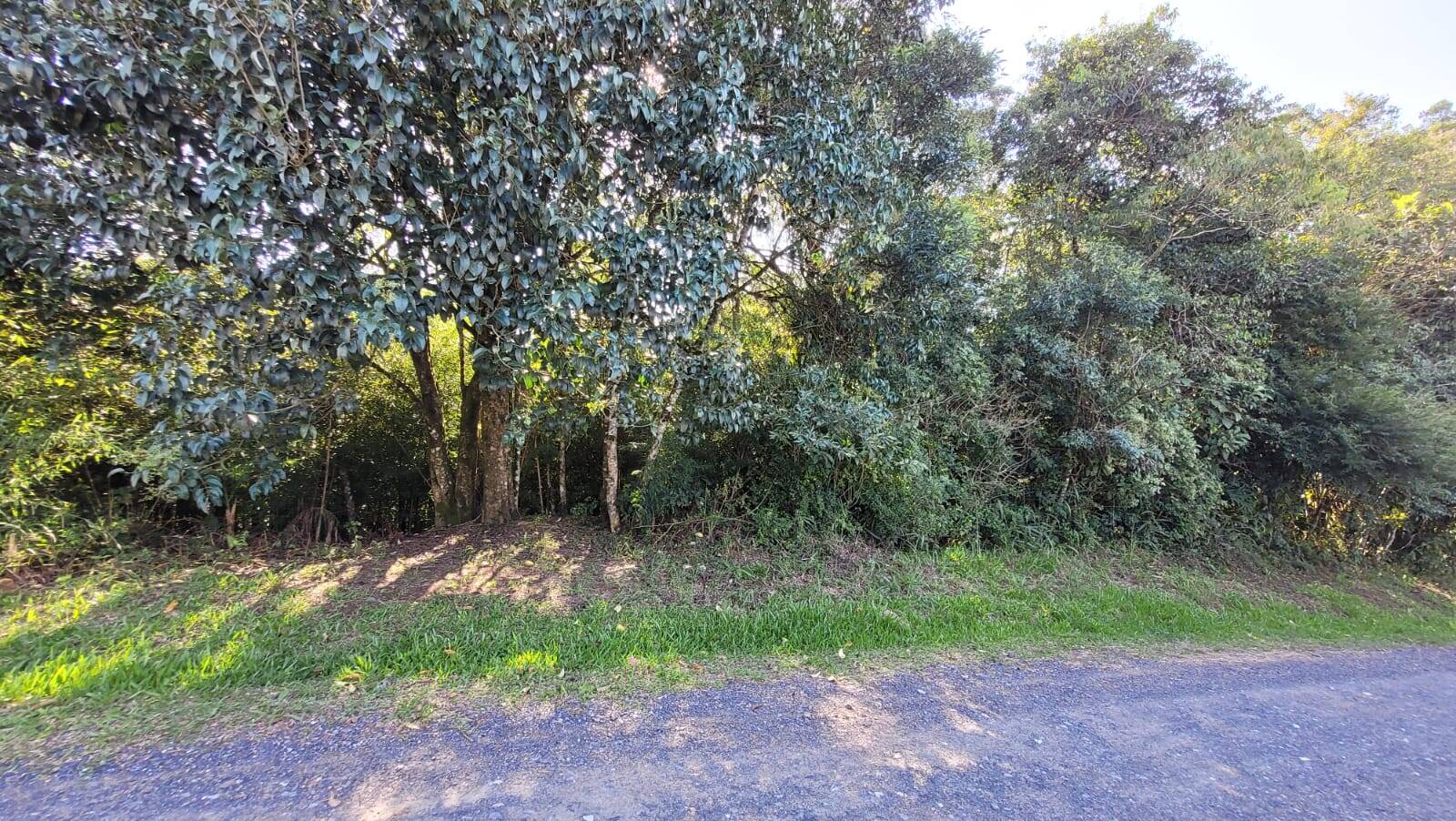 Terreno, 924 m² - Foto 2