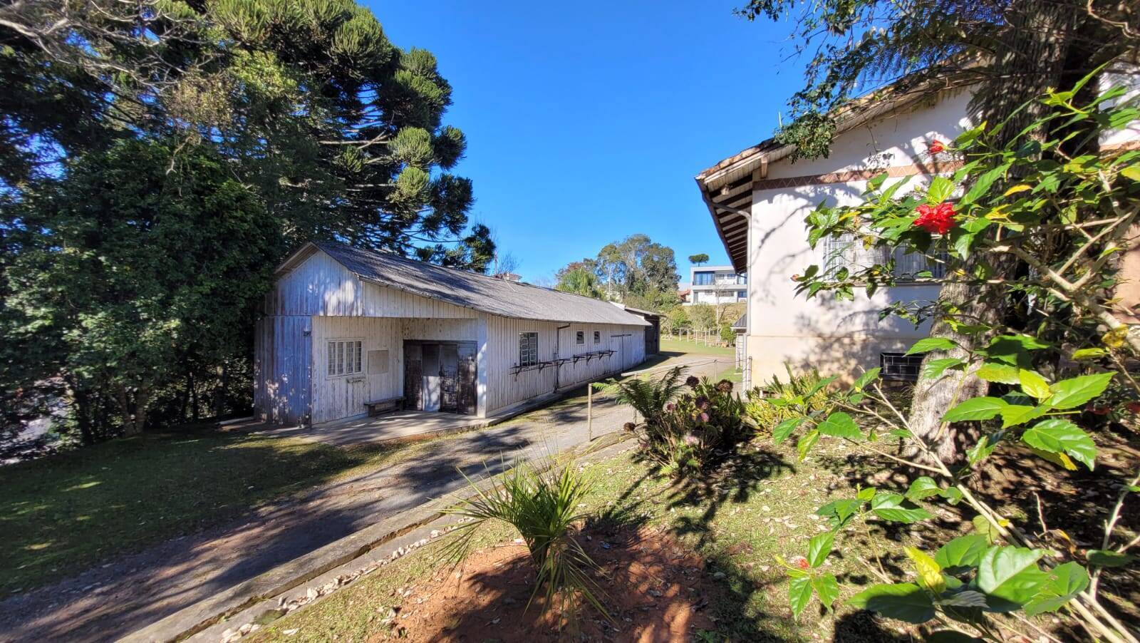 Terreno, 4661 m² - Foto 12
