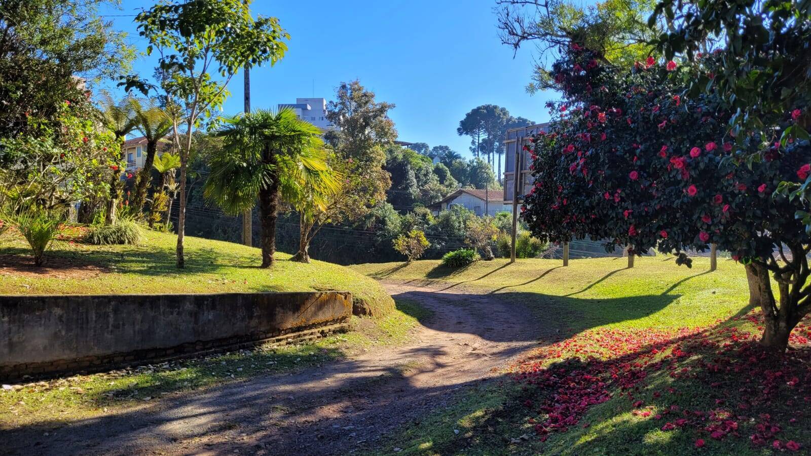 Terreno, 4661 m² - Foto 7