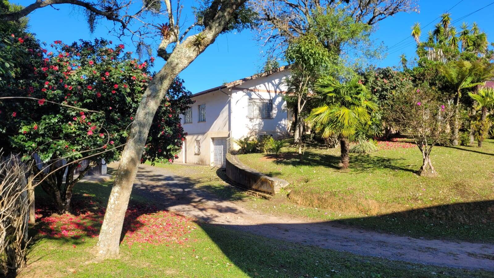 Terreno, 4661 m² - Foto 8