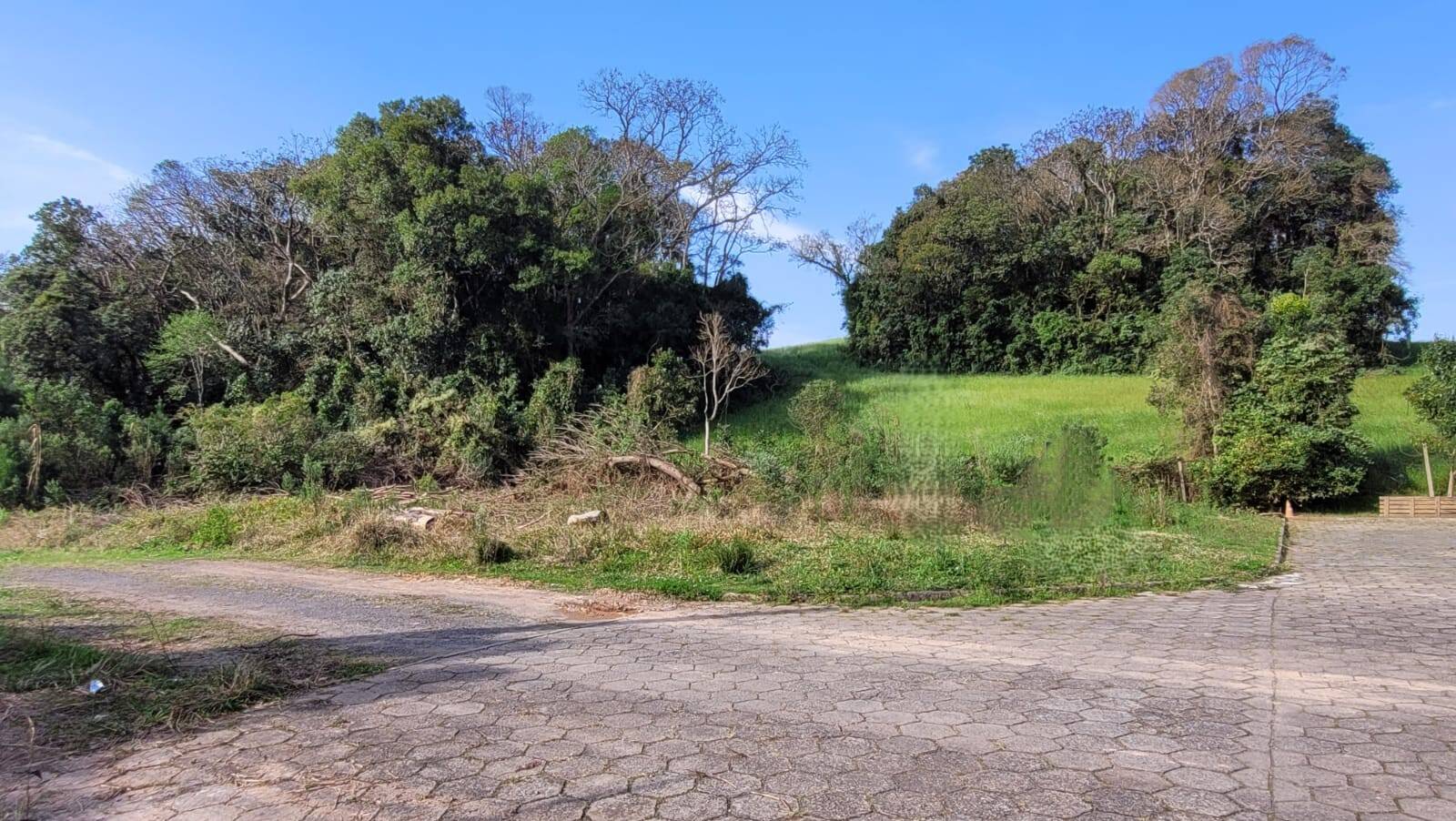 Terreno, 242 m² - Foto 1