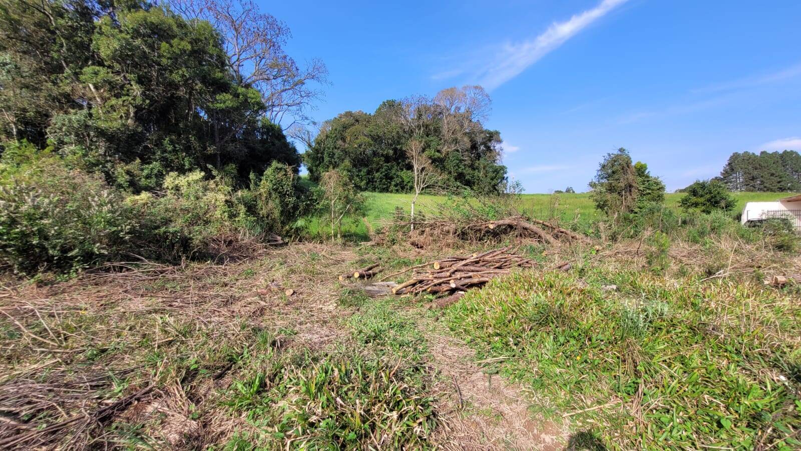 Terreno, 242 m² - Foto 3