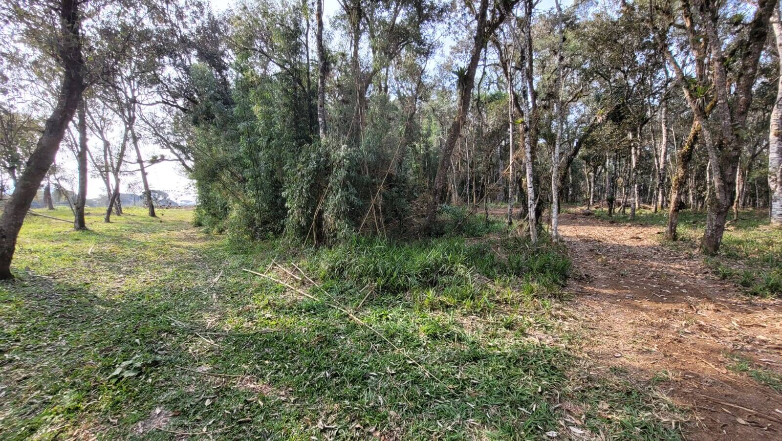 Terreno, 2000 m² - Foto 2