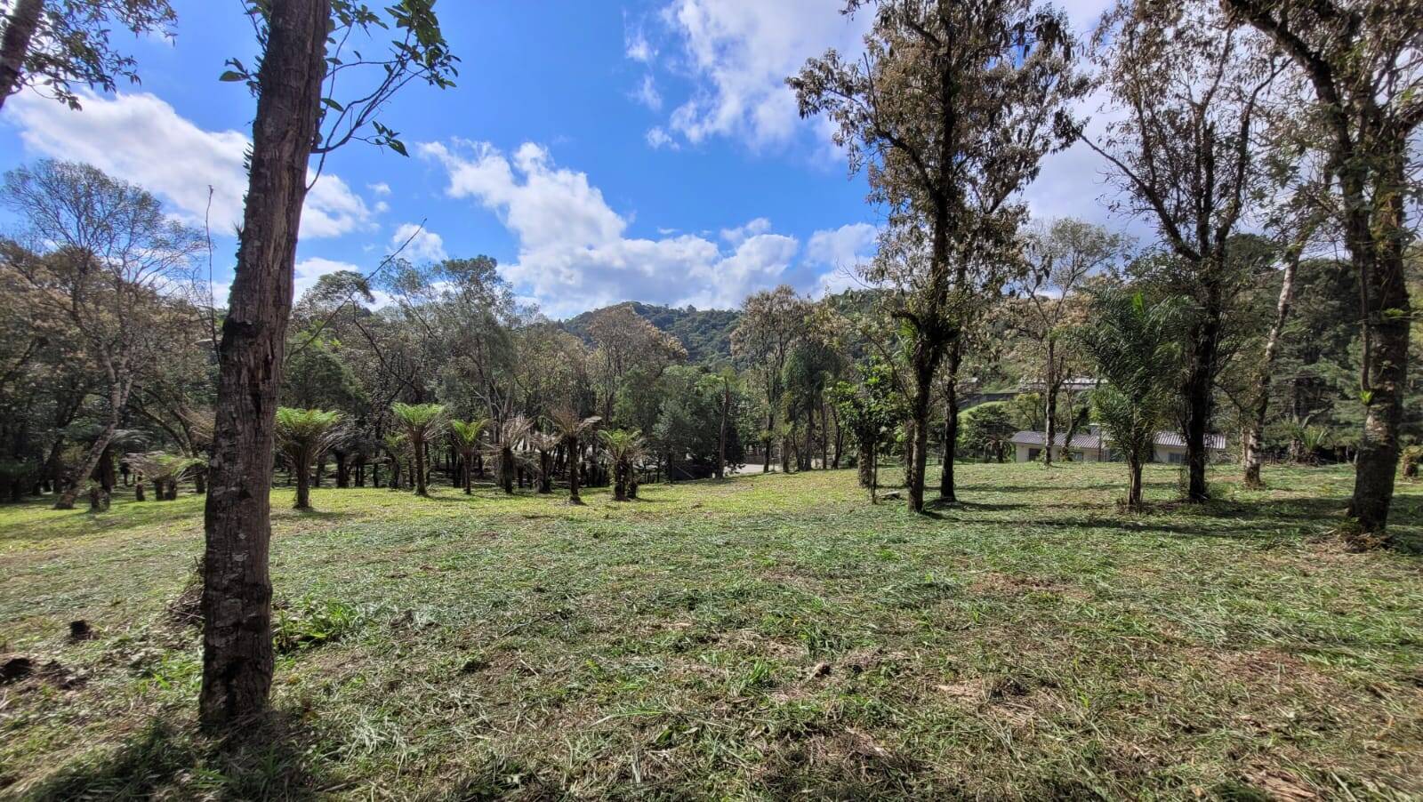 Terreno, 540 m² - Foto 5