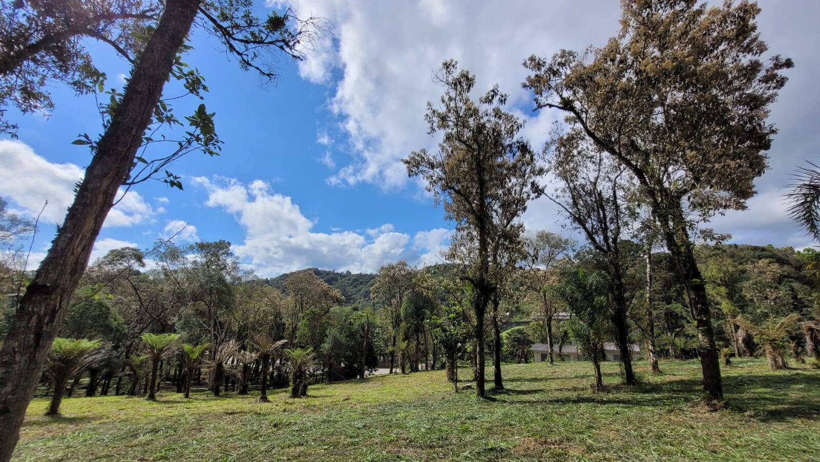 Terreno, 540 m² - Foto 6