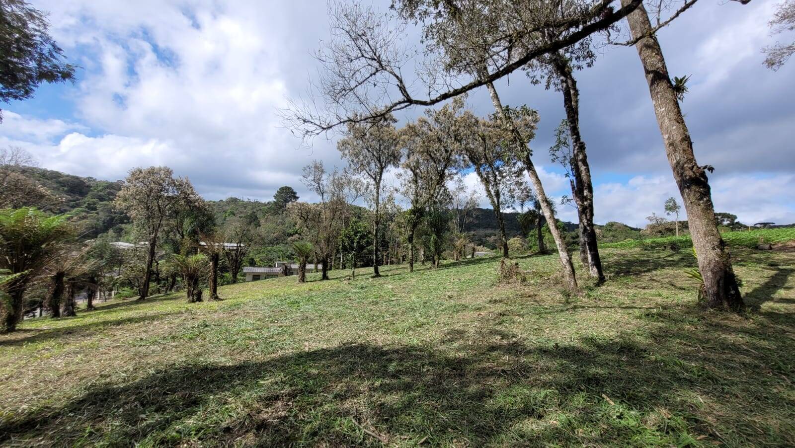 Terreno, 1080 m² - Foto 8