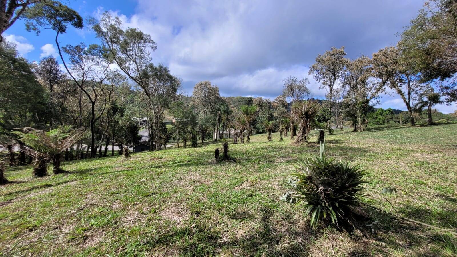 Terreno, 1080 m² - Foto 4