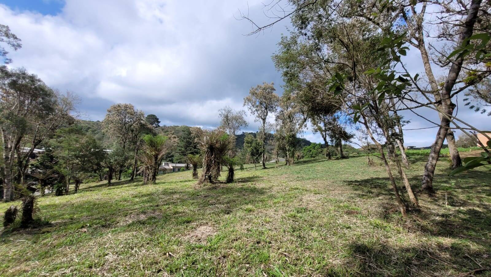 Terreno, 1080 m² - Foto 7