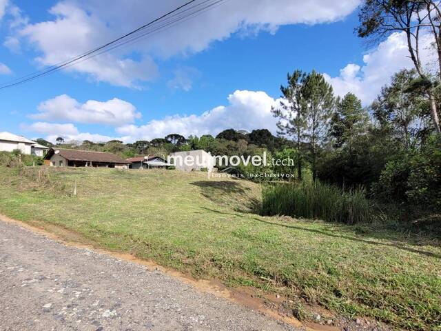 Venda em Mato Preto - São Bento do Sul