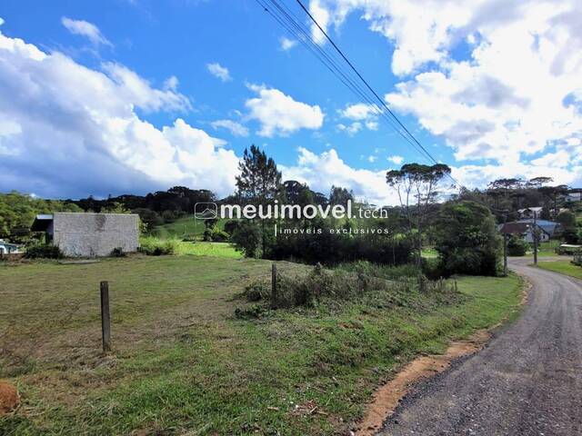 Área para Venda em São Bento do Sul - 4